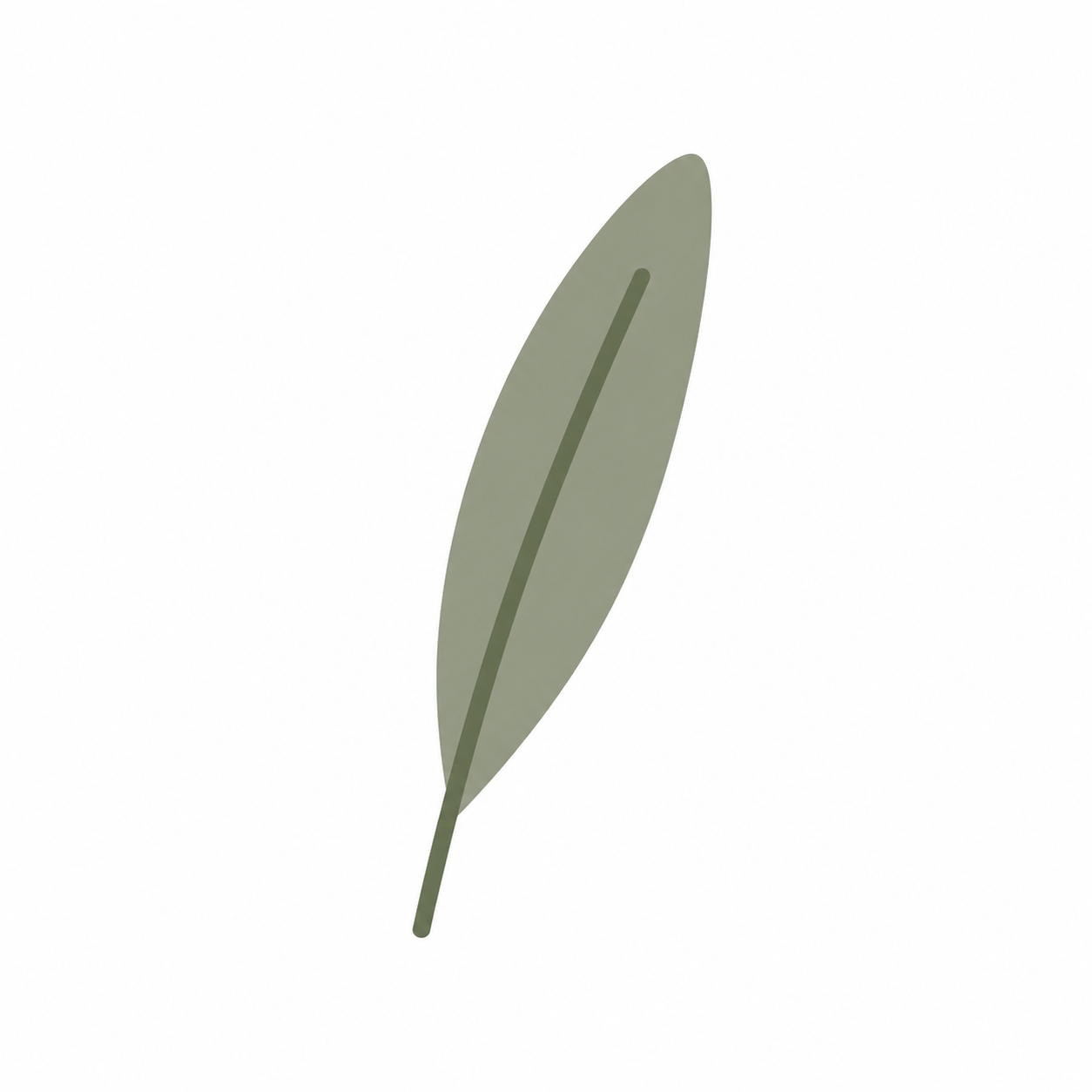 The Leaf — a single olive leaf